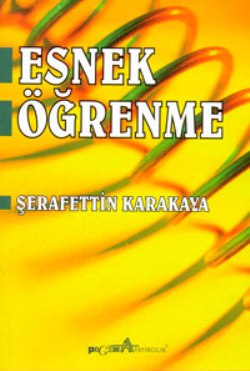 Esnek Öğrenme